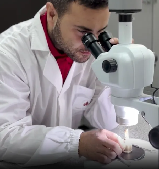 Analisi al microscopio